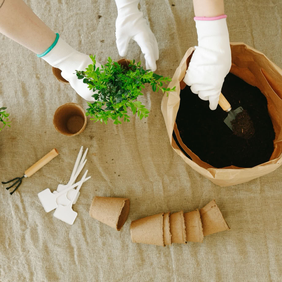 Top view of two people planting green bushes into paper bags using gardening tools.